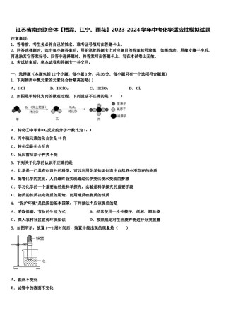 江苏省南京联合体【栖霞、江宁、雨花】2023-2024学年中考化学适应性模拟试题含解析.doc