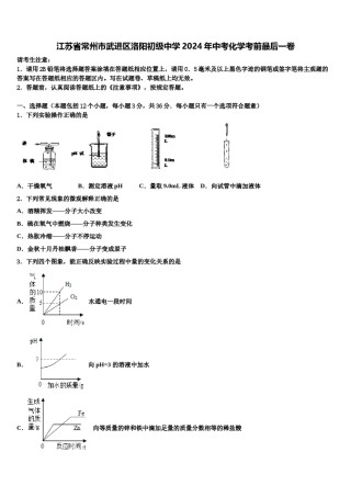 江苏省常州市武进区洛阳初级中学2024年中考化学考前最后一卷含解析.doc