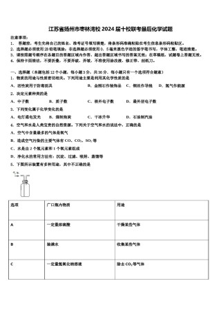 江苏省扬州市枣林湾校2024届十校联考最后化学试题含解析.doc