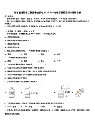 江苏省扬州市江都区十校联考2024年中考化学最后冲刺浓缩精华卷含解析.doc