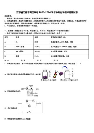 江苏省无锡市两区联考2023-2024学年中考化学模拟精编试卷含解析.doc