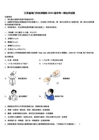 江苏省海门市东洲国际2024届中考一模化学试题含解析.doc