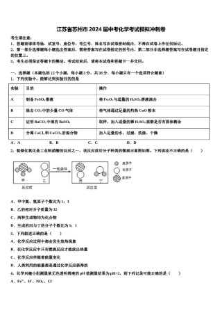 江苏省苏州市2024届中考化学考试模拟冲刺卷含解析.doc