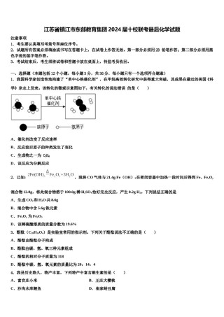 江苏省镇江市东部教育集团2024届十校联考最后化学试题含解析.doc