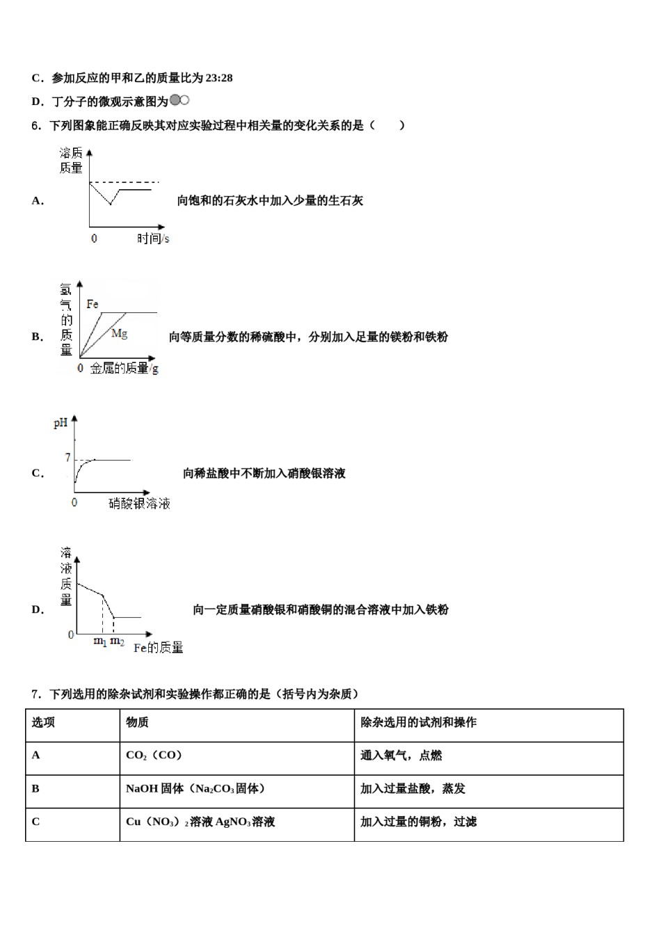 江苏省靖江外国语校2024年中考化学对点突破模拟试卷含解析.doc_第2页