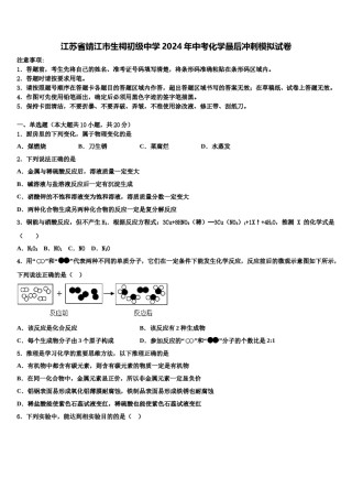 江苏省靖江市生祠初级中学2024年中考化学最后冲刺模拟试卷含解析.doc