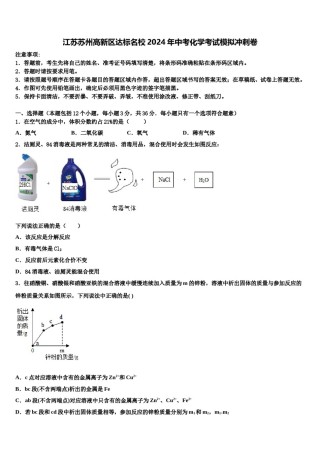 江苏苏州高新区达标名校2024年中考化学考试模拟冲刺卷含解析.doc