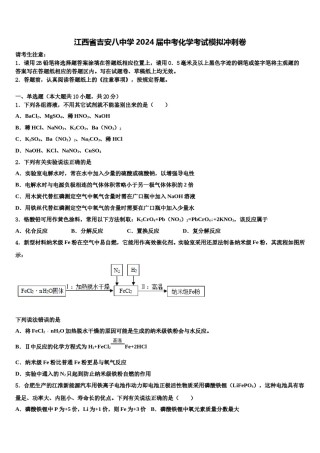 江西省吉安八中学2024届中考化学考试模拟冲刺卷含解析.doc