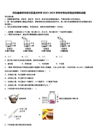 河北省廊坊市安次区重点中学2023-2024学年中考化学适应性模拟试题含解析.doc