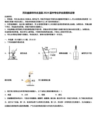 河北省廊坊市永清县2024届中考化学全真模拟试卷含解析.doc
