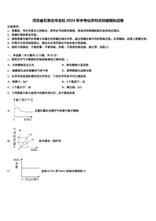 河北省石家庄市名校2024年中考化学对点突破模拟试卷含解析.doc