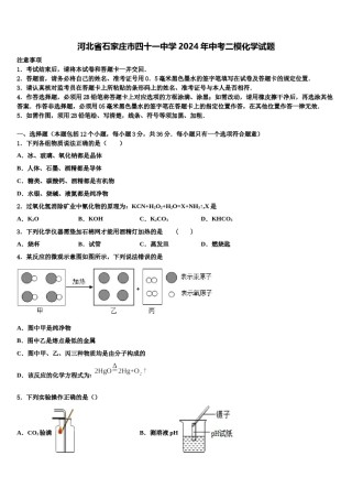 河北省石家庄市四十一中学2024年中考二模化学试题含解析.doc