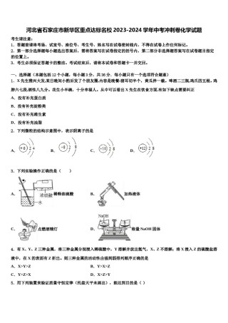 河北省石家庄市新华区重点达标名校2023-2024学年中考冲刺卷化学试题含解析.doc
