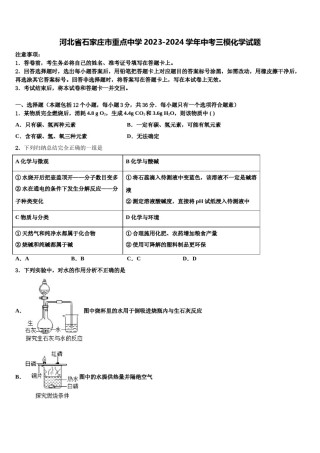 河北省石家庄市重点中学2023-2024学年中考三模化学试题含解析.doc