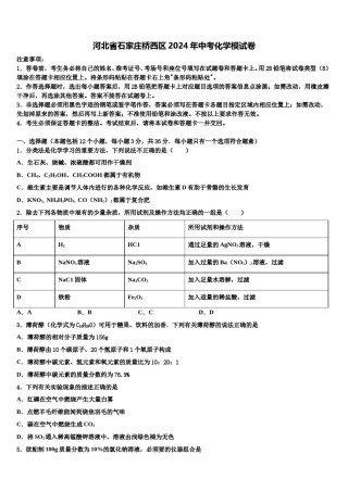 河北省石家庄桥西区2024年中考化学模试卷含解析.doc