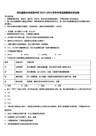 河北省衡水市武邑中学2023-2024学年中考试题猜想化学试卷含解析.doc