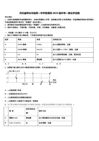 河北省邢台市临西一中学普通班2024届中考一模化学试题含解析.doc