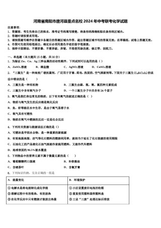 河南省南阳市唐河县重点名校2024年中考联考化学试题含解析.doc