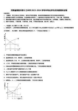 河南省南阳市第十三中学2023-2024学年中考化学对点突破模拟试卷含解析.doc