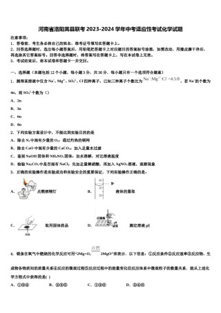 河南省洛阳嵩县联考2023-2024学年中考适应性考试化学试题含解析.doc