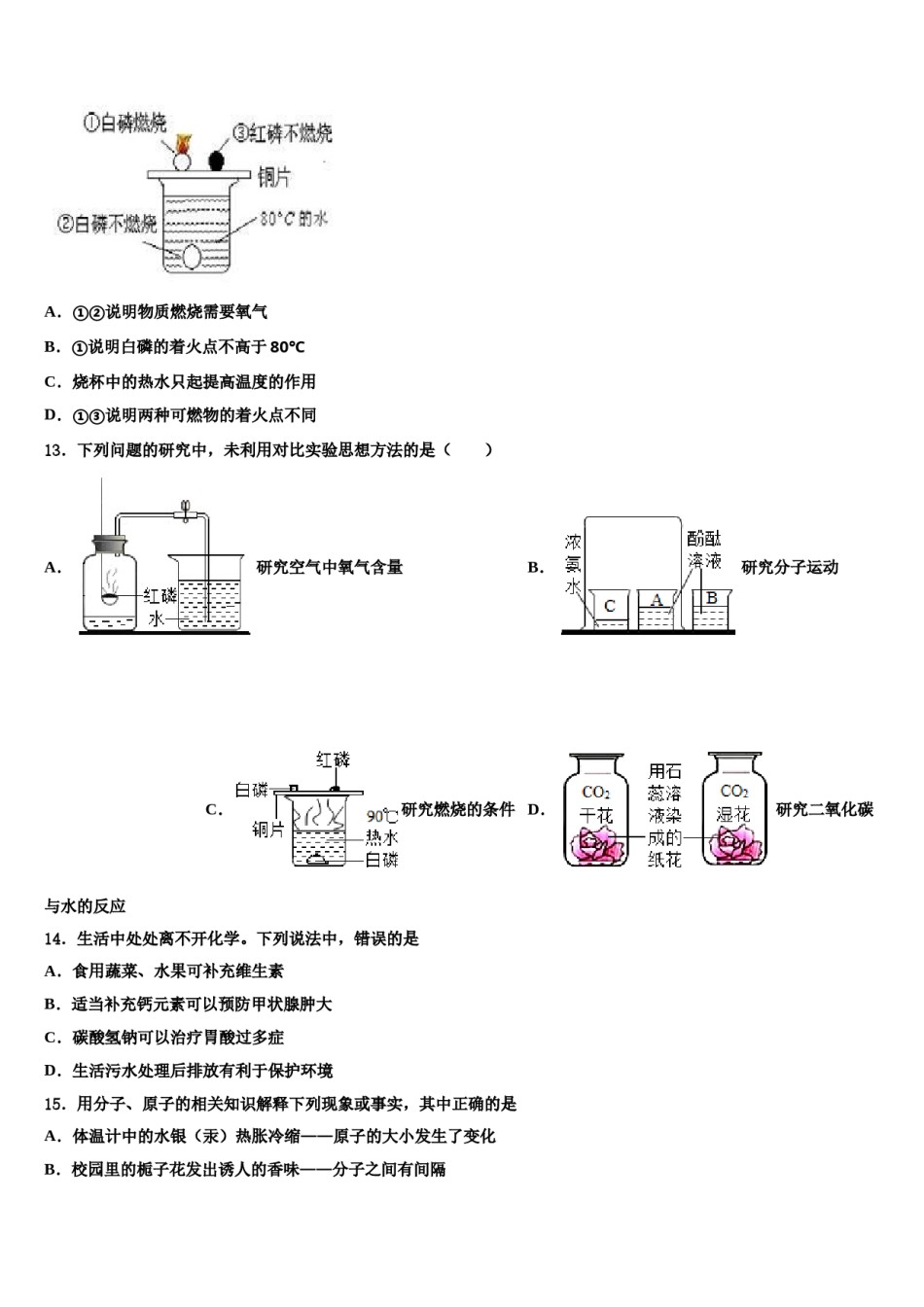 河南省洛阳市东方第二中学2023-2024学年中考联考化学试题含解析.doc_第3页