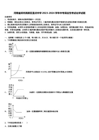 河南省郑州高新区重点中学2023-2024学年中考适应性考试化学试题含解析.doc