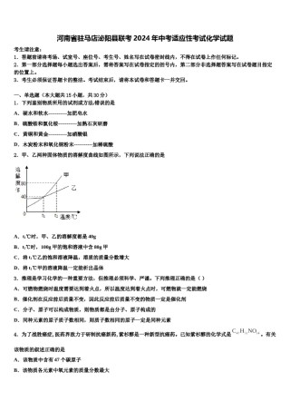河南省驻马店泌阳县联考2024年中考适应性考试化学试题含解析.doc