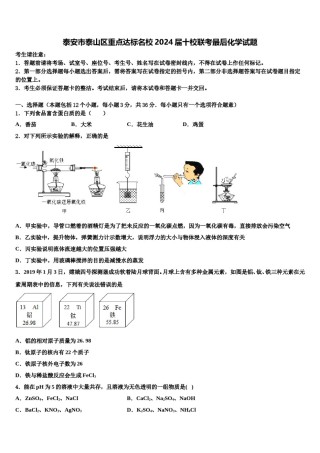泰安市泰山区重点达标名校2024届十校联考最后化学试题含解析.doc