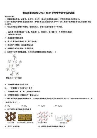 泰安市重点名校2023-2024学年中考联考化学试题含解析.doc