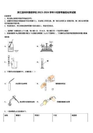 浙江温州外国语学校2023-2024学年十校联考最后化学试题含解析.doc