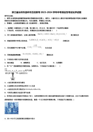 浙江省台州市温岭市五校联考2023-2024学年中考适应性考试化学试题含解析.doc
