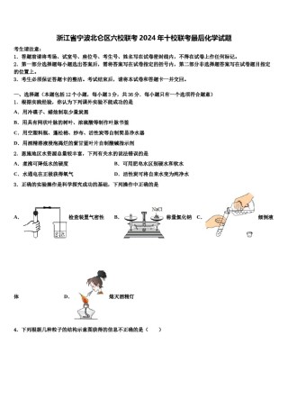 浙江省宁波北仑区六校联考2024年十校联考最后化学试题含解析.doc