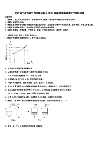 浙江省宁波市李兴贵中学2023-2024学年中考化学适应性模拟试题含解析.doc