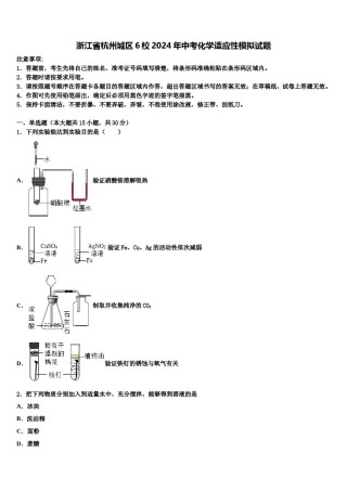 浙江省杭州城区6校2024年中考化学适应性模拟试题含解析.doc