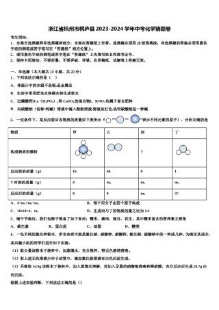 浙江省杭州市桐庐县2023-2024学年中考化学猜题卷含解析.doc