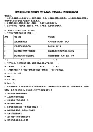 浙江省杭州市经济开发区2023-2024学年中考化学模拟精编试卷含解析.doc