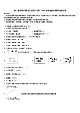 浙江省杭州市萧山区城厢片五校2024年中考化学模拟精编试卷含解析.doc