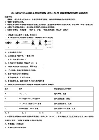 浙江省杭州市运河镇亭趾实验学校2023-2024学年中考试题猜想化学试卷含解析.doc