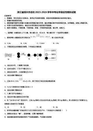 浙江省绍兴市名校2023-2024学年中考化学适应性模拟试题含解析.doc