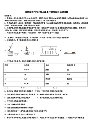 海南省海口市2024年十校联考最后化学试题含解析.doc