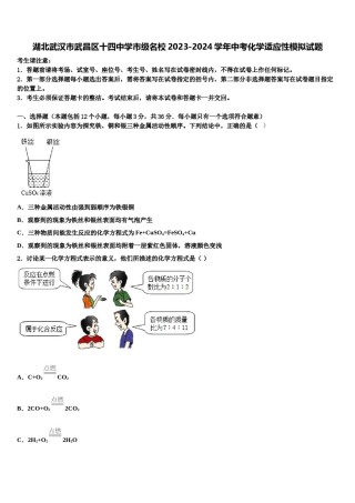 湖北武汉市武昌区十四中学市级名校2023-2024学年中考化学适应性模拟试题含解析.doc