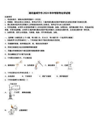 湖北省咸宁市2024年中考联考化学试卷含解析.doc