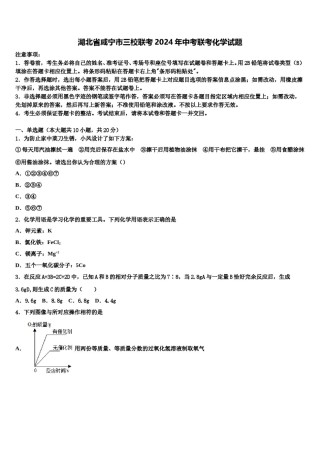 湖北省咸宁市三校联考2024年中考联考化学试题含解析.doc