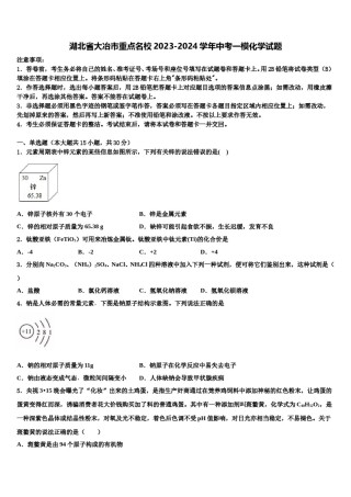 湖北省大冶市重点名校2023-2024学年中考一模化学试题含解析.doc