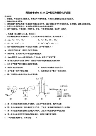 湖北省孝感市2024届十校联考最后化学试题含解析.doc
