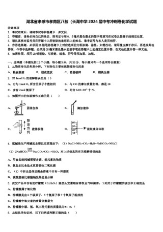 湖北省孝感市孝南区八校（长湖中学2024届中考冲刺卷化学试题含解析.doc