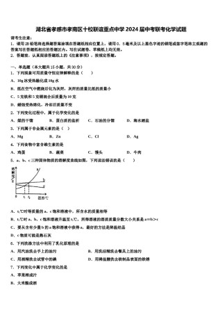 湖北省孝感市孝南区十校联谊重点中学2024届中考联考化学试题含解析.doc