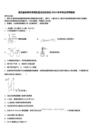 湖北省孝感市孝南区重点达标名校2024年中考化学押题卷含解析.doc