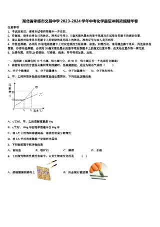 湖北省孝感市文昌中学2023-2024学年中考化学最后冲刺浓缩精华卷含解析.doc