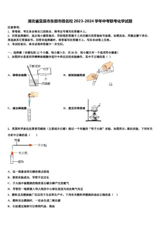 湖北省宜昌市东部市级名校2023-2024学年中考联考化学试题含解析.doc